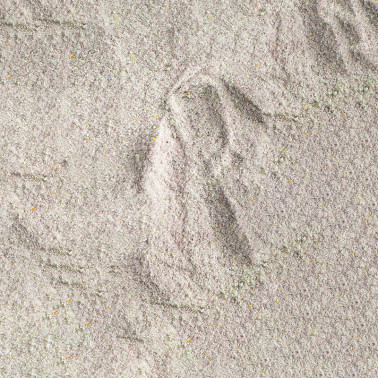 Boisson énergétique goût Myrtille-Citron