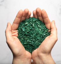 Spiruline : Méthode de culture et de récolte