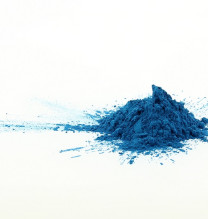 Spiruline : qui est-elle ?